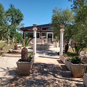 B & B Dei Nobili